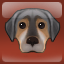 The Dog Trainer