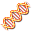 Evolver