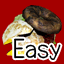 Game completed on Easy!