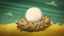 Nest Egg