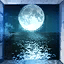 Water Moon