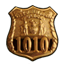 Bronze Detective Badge