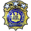 Chief Investigator Award