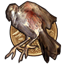 Chapter 9 Bronze Bird Award