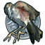 Chapter 4 Silver Bird Award
