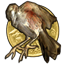 Golden Bird Award