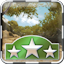 Safari Expert