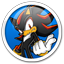 Team Sonic