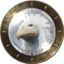 The Chocobo's Savior