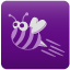 Eye of the Bee-Holder