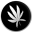 Every Herb Bearing Seed