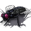 The Swarm King