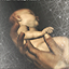The Birth of an Assassin