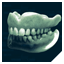 Dental Plan