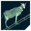 Ladder Goat