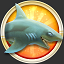 Reef Shark