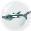 Shark Eater
