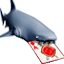 Card Shark