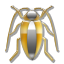 Cockroach of Freedom

