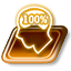 100% Brain Usage
