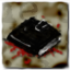 The Black Book Achievement