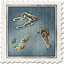 The Pacific Campaign 