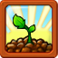 Soil Your Plants