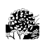 Unstable Footing