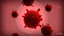 Virus Victory