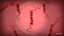 Prion Master
