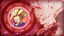 Arena Expert