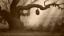 Psora Not Sorry