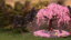 Money Tree