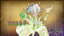 The Old Mistress of Soryu Magic