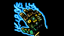 End: Chaos Gauntlet