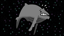 Space whaling
