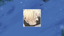 Saviour