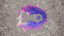 Skyfish Boffin