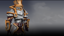 Stalwart Knight