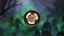 Mulligan