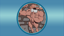 Mr. Universe