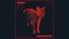 The Catfinder