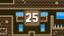 Level 25