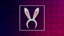 Easter Bunny