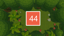 Level 44
