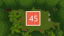 Level 45