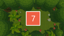 Level 7