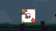 What Does This Shell Do?