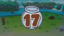 Seventeenth Slayer