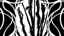 Snared Silk